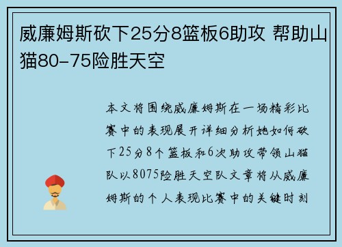 威廉姆斯砍下25分8篮板6助攻 帮助山猫80-75险胜天空